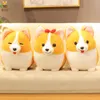 38/45 cm Mooie Corgi Hond Knuffel Gevuld Zacht Dier Cartoon Kussen Leuke Kerstcadeau Voor Kinderen Kawaii Valentijnscadeau