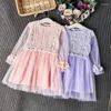 Girl Dresses Princess For Girls Spring Summer Baby Clothing Party Dress Lace Children Mesh Teens Kids Clothes