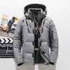 Herenjassen Hoge kwaliteit verdikte warme winterjas Eendendonsparka met capuchon Casual slanke jas met katoenen gewatteerde kleding om warm te houden 231031