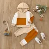 Clothing Sets 0909 Lioraitiin 04Years Toddler Baby Boy 2Pcs Fall Outfits Long Sleeve Contrast Color Patchwork Hoodies Top Pants Set 231031