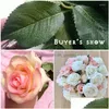 Decorative Flowers Wreaths Decorative Flowers 8Pcs Touch Real Latex Rose Silk Artificial Bouquet Bridal Bridesmaid Wedding Party Hom Dhovy