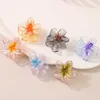 4 CM Transparente Glitter Frangipani Flor Grampos de Cabelo Antiderrapante Bonito Acessórios de Cabelo Barrettes Clipe de Plástico Decorações de Cabelo Para Festa de Casamento Nupcial Praia 2905