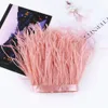 10-15CM Veren Versieringen Lint Natuurlijke Struisvogelveren Fringe voor Feestjurken Naaien Accessoires Kostuum Kleding Diy