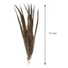 Partihandel Natural Ringneck Tail 10-75cm 4-30 "För hantverk Bröllopsdekorationer PHEANA FEAPHERS Karneval Plumas