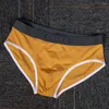 Sous-vêtements hommes coton slips sexy hanche ascenseur sous-vêtements doux élasticité intime maillot de bain taille moyenne culotte respirante