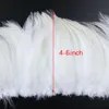 Witte Natuurlijke Haan Zadel Pluimen 4-6 Inch Kip Hackle Veren 1000 stks/partij voor DIY Sieraden Dreamcather Oorbel Decoratie