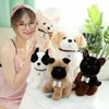 22CM Kawaii Teddy Dog giocattoli di peluche Bambole di cane Husky di vita reale farcite adorabili per bambini Regali di compleanno per bambini