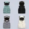 Gilet garçons filles hiver chaud polaire gilet manteau enfants mode couleur unie à capuche épaissie veste vêtements d'extérieur pour enfants gilet 231031