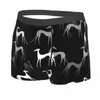 Underpants Custom Cute Sighthounds Underwear Men Breathbale Greyhound Whippet Dog Boxer Briefs