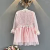 Girl Dresses Princess For Girls Spring Summer Baby Clothing Party Dress Lace Children Mesh Teens Kids Clothes