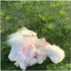 Hundkläder hundkläder husdjur regnbåge puffy kjol fantasy rosa fjäril vingar sommar neddy yorkshire marquis prinsessa klänningar för små dh2fn