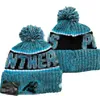 CAROLINA Beanie Beanies SOX LA NY North American Baseball Team Side Patch Winter Wool Sport Knit Hat Pom Skull Caps A5