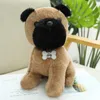 22CM Kawaii Teddy Dog giocattoli di peluche Bambole di cane Husky di vita reale farcite adorabili per bambini Regali di compleanno per bambini