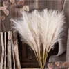 Flores decorativas grinaldas flores decorativas 10 pcs falso pampas grama decoração arranjo de flores arte vaso enchimento artificial pomposo nós dhq4v