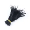 100 pz Gallo Naturale 4-6 Pollici Piume di Fagiano per L'artigianato Fly Fish Plume Decorazione Accessori Per Cucire Fai Da Te Plumas