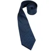 Bow Ties Business Tie för män Silk Blue Tie Poots Slips Set Plaid Cufflinks For Wedding Business Tie 150 cm Hi-Tie SN-3529 Drop 231102