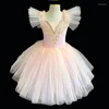 Stage Wear 2023 Gonna da balletto professionale Costume da performance femminile in bianco e nero Tutu di garza del lago dei cigni