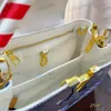 Designerskie kobiety na ramię skóra klasyczne wydrukowane złote sprzęt metalowe plania kolorowy górny uchwyt luksusowa torba crossbody torebki makijażu na lotnisko Sacoche 20/27 cm