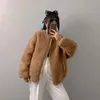 Women's Jackets Women's Teddy Bear Coat Real Wool Bomber Jacket Lady's Alpaca Teddy Coat Long Jacket Fashion Outwear Female Sheep Fur S5041 231102