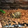 Tapis Tapis chauffant multi-usages pour reptiles Amphibiens pour animaux de compagnie Chauffe-terrarium 5 tailles