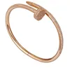 Luxury DesignHigh Edition Small Model Slim Nail Bracelets & Bangles for Women Men,AAA simple Zirconia 316L TitaniumDesigner Jewelry Steel Jewelry fashion