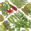 Decorative Flowers & Wreaths Decorative Flowers Natural Dried Leaves Green Plants Diy Crystal Epoxy Resin For Jewellery Handicraft Mat Dh4Ba