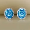 Stud Earrings S925 Silver Pink Diamond Inlaid Oval 8 10ins Women's 5A Zircon Factory Direct Sales