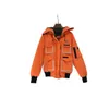 Herbst und Winter Frauen Glühende Stickerei Mit Kapuze Zipper Casual Puffer Mantel Frau Unten Jacken 6MAH