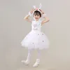 Mädchen Kleider Baby TUTU Kleid mit Stirnband Tier Kindergarten Tanz Bühne Kleidung Rock Kinder Pailletten Leistung