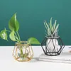 Vases Golden Flower Plant Vase Pot Ornament Metal Holder Nordic Styles Home Table Garden Decorations 231101