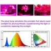 Grow Lights Led Growing Light Indoor Supplement Plant Lamps Greenhouse Phyto Lamp Red & Blue Hydroponic Strip
