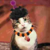 猫の衣装猫の衣装ペット帽子の首輪装飾襟首ひげハロウィーン子猫をテーマにした犬の供給ドロップデリバリーホームガーデンペットsu dhbq6