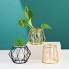 Vases Golden Flower Plant Vase Pot Ornament Metal Holder Nordic Styles Home Table Garden Decorations 231101