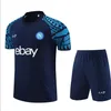 23 24 Nouveau Napoli Survêtement Maillot de football Kit de football Hommes et enfants 2023 2024 Veste SSC Naples D10s Hommes Costume d'entraînement Porter Formation Tuta Chandal futbol Sweat-shirt