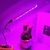 Grow Lights LED Growing Light Indoor Supplement växtlampor Växthus Phyto Lamp Red Blue Hydroponic Strip