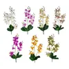 Decorative Flowers & Wreaths Simulation Ornaments Floral Art Artificial Orchids 3 Forks Home Decoration 55cm East Asia Wedding Scene