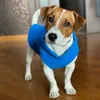 Odzież dla psa miękkie polarowe ubrania psa pupy ubranie francuskie buldog płaszcz pug costumes kurtka dla małych psów Chihuahua kamizelka jorks 231101