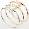 Luxury DesignHigh Edition Small Model Slim Nail Bracelets & Bangles for Women Men,AAA simple Zirconia 316L TitaniumDesigner Jewelry Steel Jewelry fashion