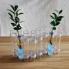 Vases 8pcs / 6pcs Vase en verre de fleur à charnière Tube de support de plante transparent avec crochet Table hydroponique pour salon décor à la maison