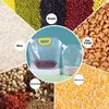 Matlagringsorganisation uppsättningar förseglade förvaringspåse risförpackningspåse Korn fuktsäker och insektsäker transparent förtjockad bärbar matgradsväska 230331