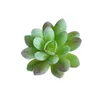 Decorative Flowers 5 PCS Artificial Succulents Pots Para Mesa De Plastic Succculent The Office Ornaments Desk Faux