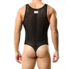 Underpants Men's Sexy Mesh One Piece Breathable Sheer Underwear T Shaped Perspective Body Nylon Hombre Lingerie Erotique Wrestling Singlet