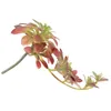 Fleurs décoratives 1pc Petites Plantes Succulentes Plantes Succulentes Suspendues Pour Mur Maison Jardin Décor