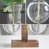 Vases Plant Terrarium Home Decor Hydroponic Vase Vintage Flower Pot Wooden Stand Tabletop Glass Planter Office Decoration