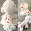 Hondenkleding Puppy Puppy Strawberry Rokken Pet Ademtabele kleding Katten honden Suspender Apple printjurken Kleding Princess Rokkleding Kleding