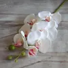 장식용 꽃 화환 아름다운 인공 나비 난초 실크 꽃 웨딩 파티 phalaenopsis 꽃가루 장식 용품 건조 re