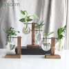 Vases plante Terrarium décor à la maison Vase hydroponique Vintage Pot de fleur support en bois table verre planteur décoration de bureau