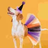 Abbigliamento per cani Tutu per animali domestici Accessori per vestiti Costume da strega Decor Cerchi per capelli di Halloween Costumi in rete Cani di piccola taglia per