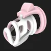 Cockrings Erotic Accessories Male Device Sextoys Colorful Male Chastity Device Cock Cage With 4 Size Rings Adult Lock Sexy Toys For Men 231101