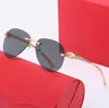 New Kajia Metal Sunglesses Sunglesses Men Fashion Leopard Head Head Sunglasses Women's European and American عالية الجودة للنظارات الضفدع